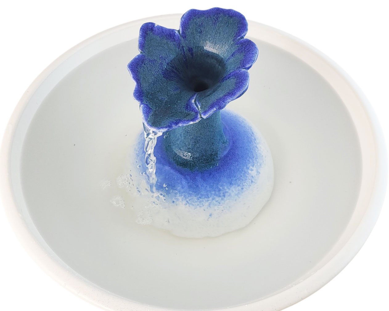 20260213_083427-Photoroom - Copy