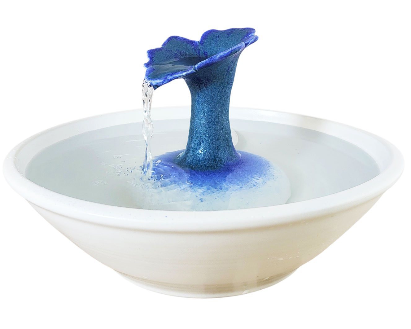 20260213_083510-Photoroom - Copy