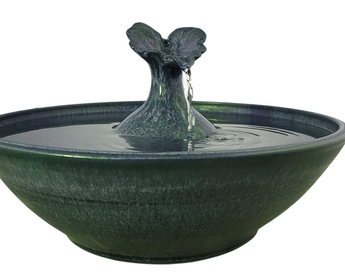 20260213_095930-Photoroom