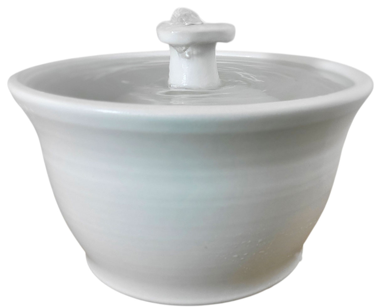 20260213_101155-Photoroom