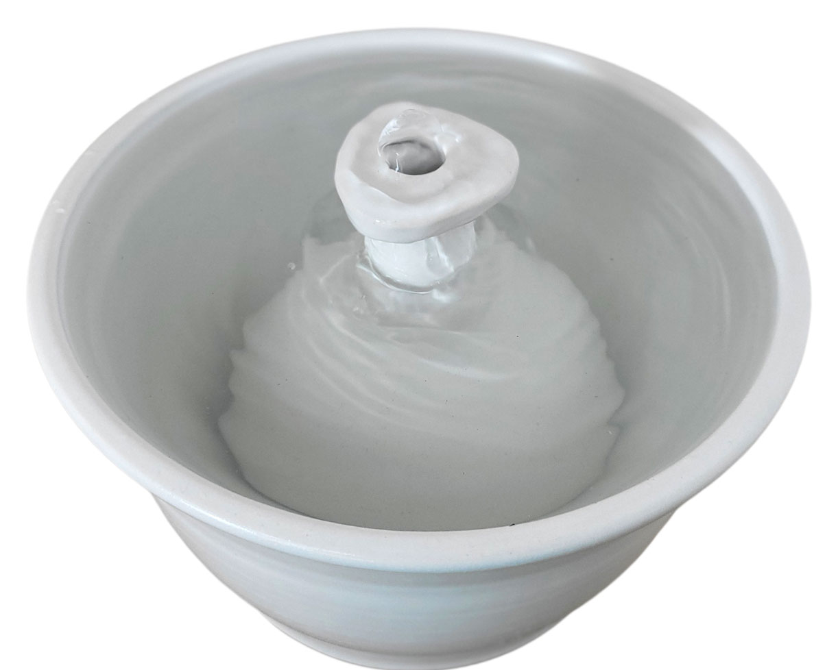 20260213_101201-Photoroom