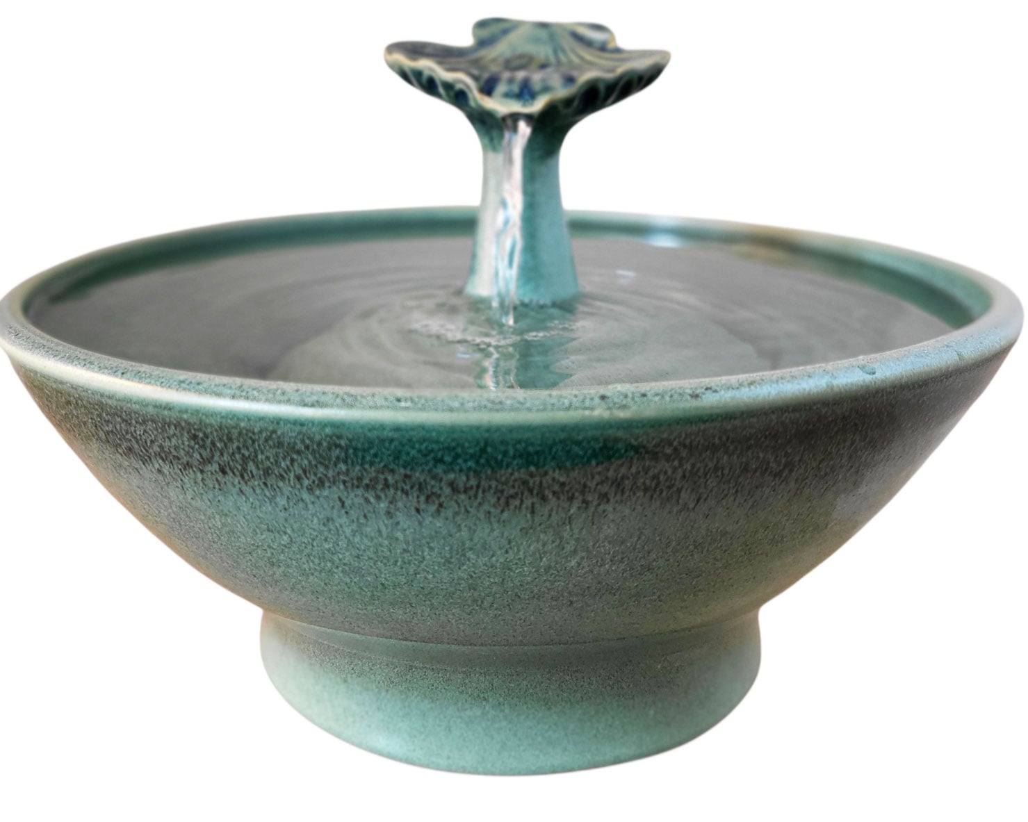 20260218_151912-Photoroom