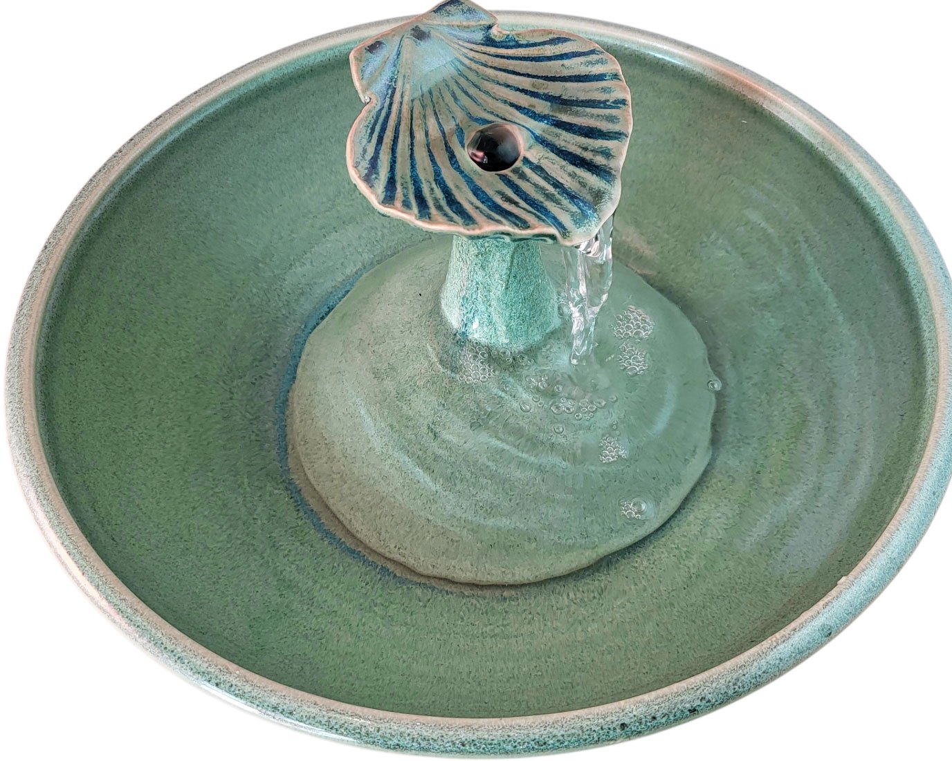 20260218_152008-Photoroom