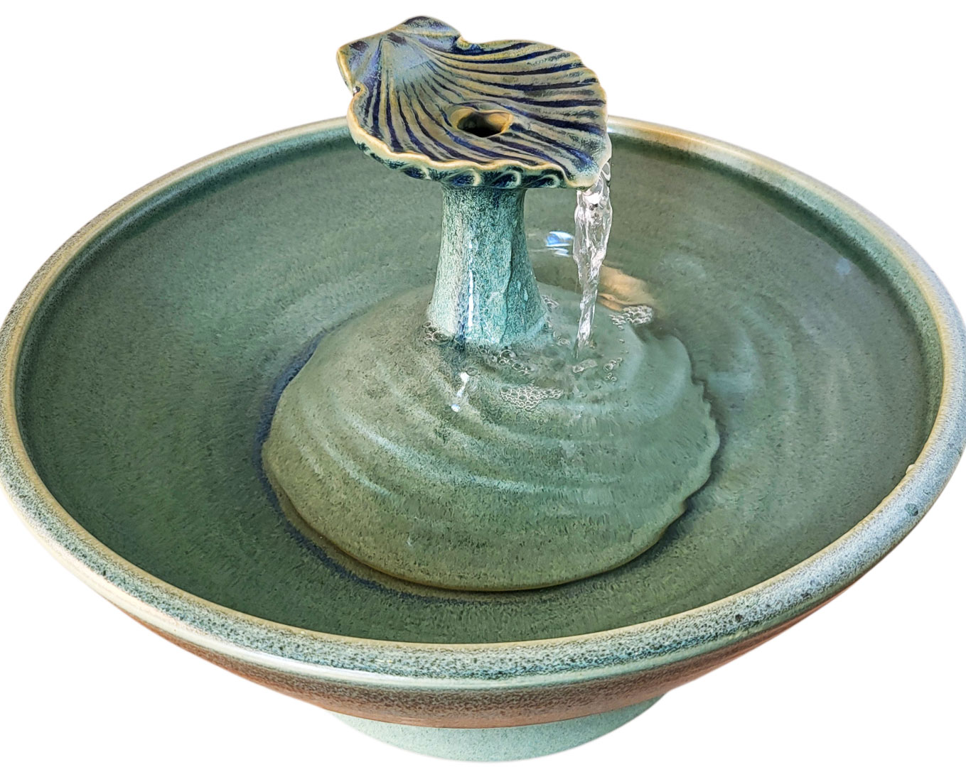 20260218_152013-Photoroom