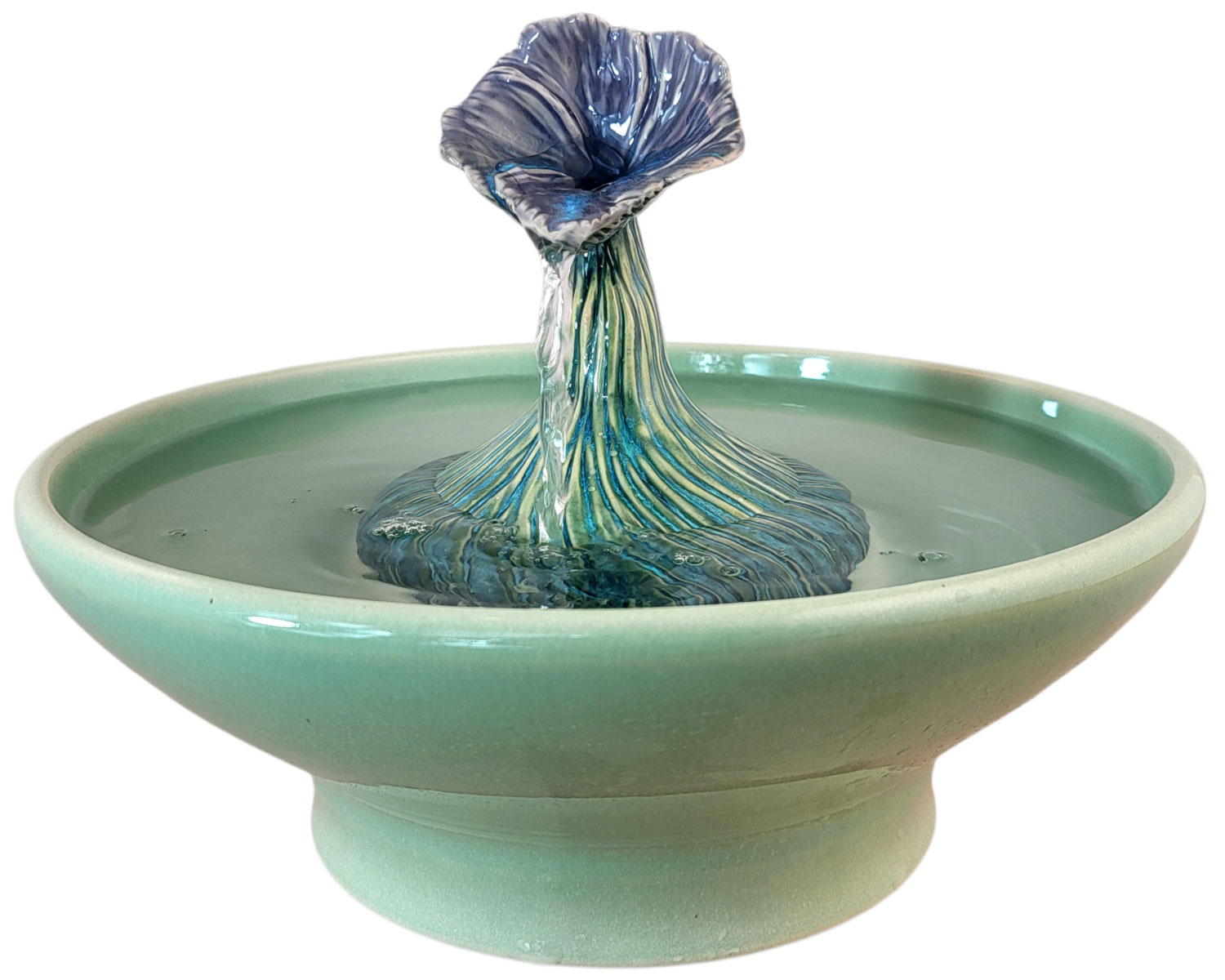 20260219_122700-Photoroom