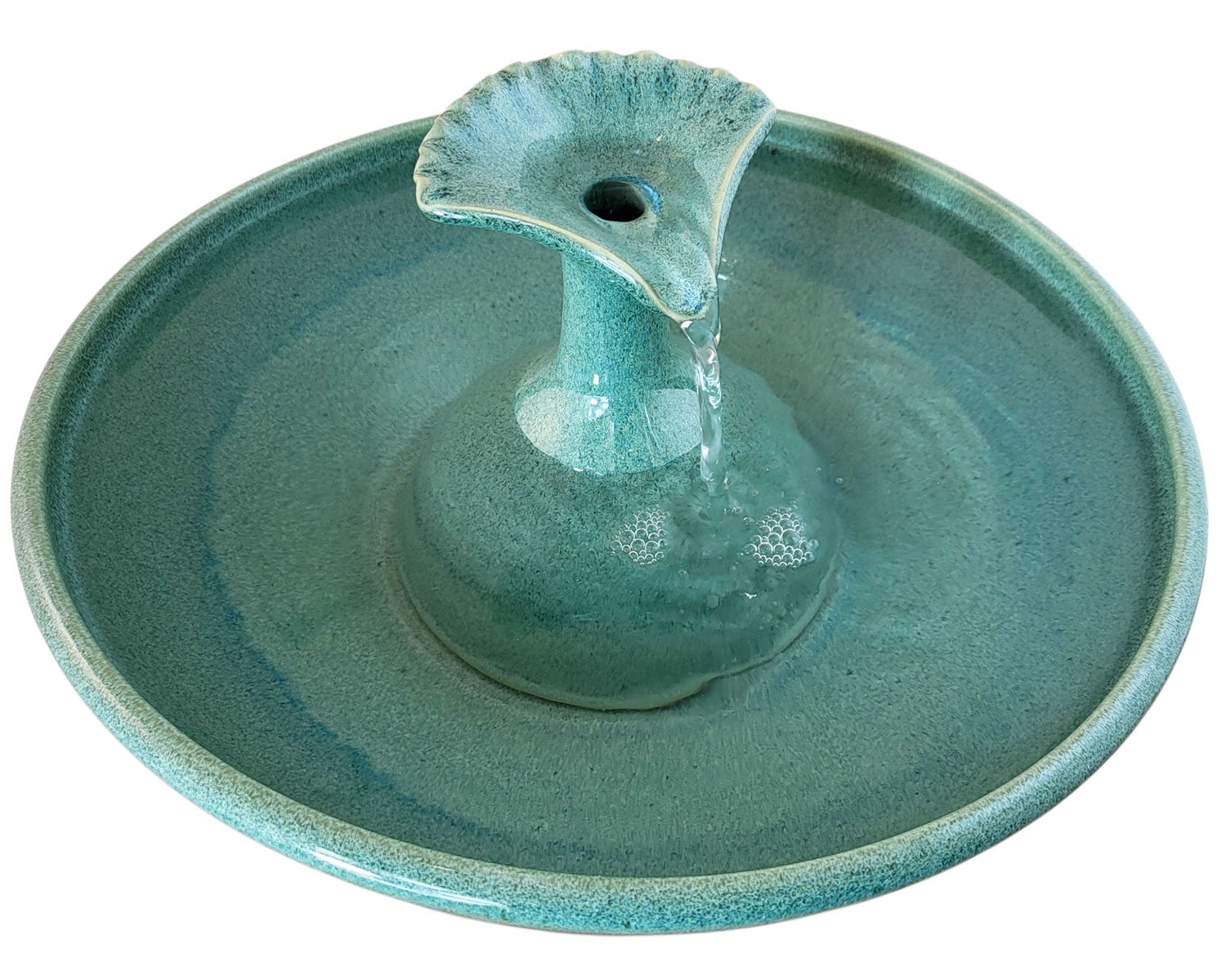 20260219_124737-Photoroom