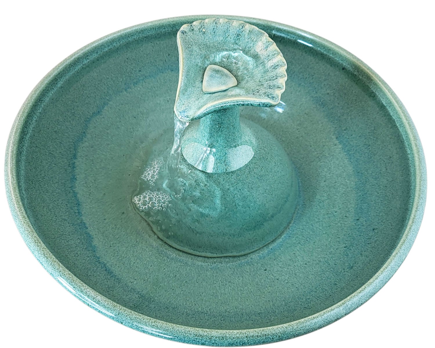 20260219_124755-Photoroom