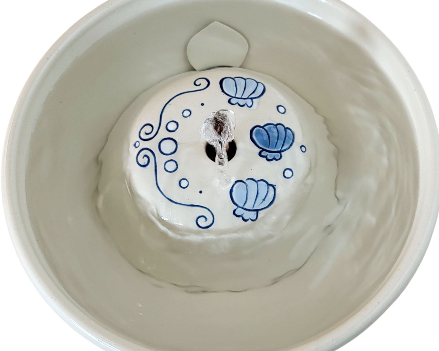 20260220_104806-Photoroom