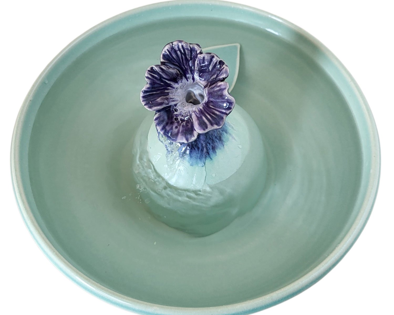 20260220_110451-Photoroom