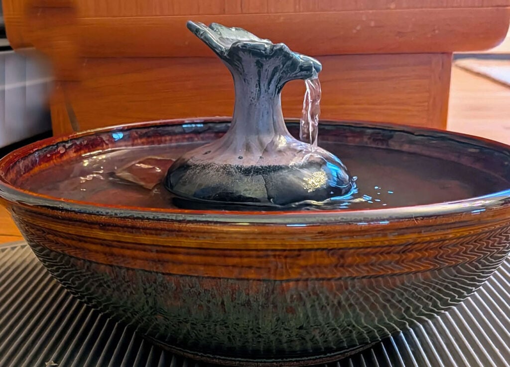 pic1 Cat Fountain Customer Reviews