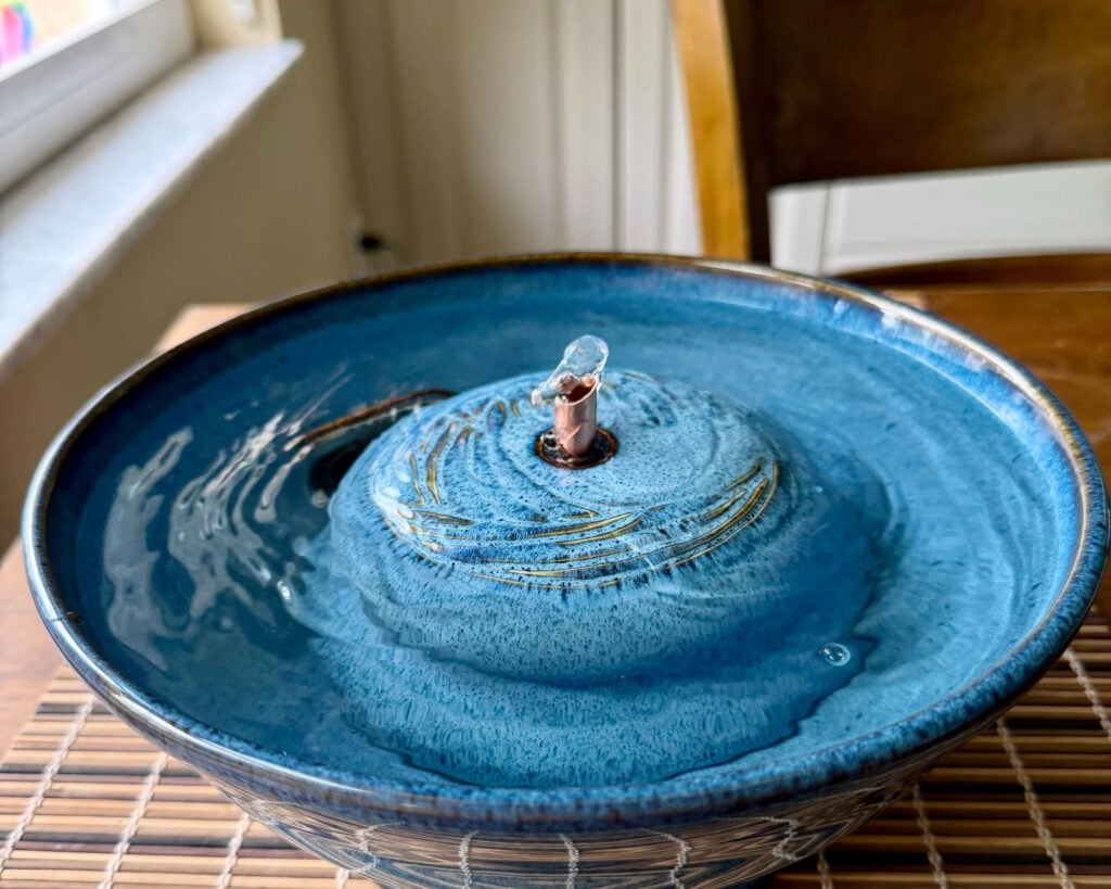 rhondaJ Cat Fountain Customer Reviews