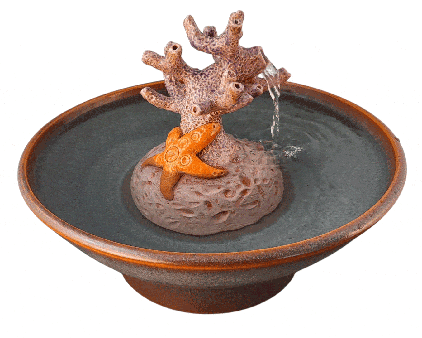 Coral Reef Enhanced Style Cat Drinking Fountain (12 Cup)