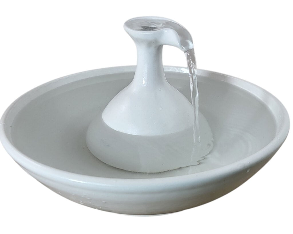 20260223 153724 Cat Fountain Customer Reviews