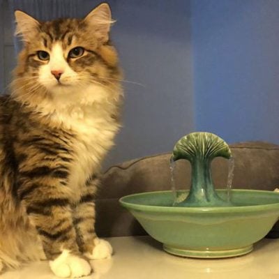 ceramic art home decor