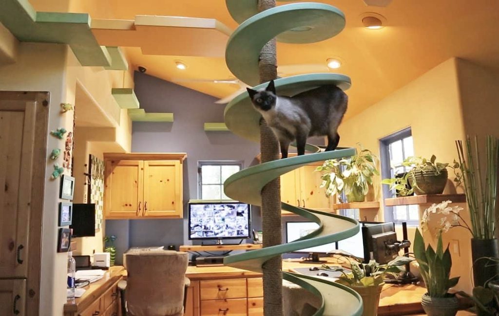 elaborate cat home