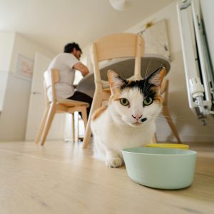 toa-heftiba-1v8UTw-gmMo-unsplash