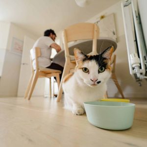 toa-heftiba-1v8UTw-gmMo-unsplash